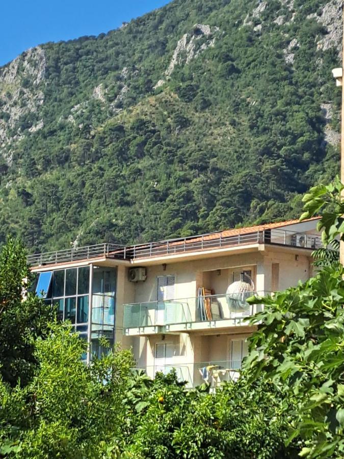 Apartments With Sea View In Prcanj Kotor Eksteriør bilde